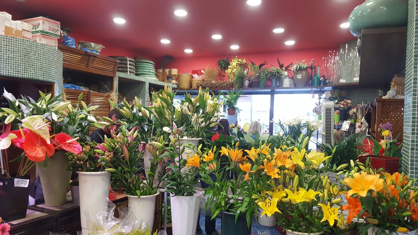 Flores y plantas de Floristería Las Salinas